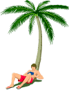 Palmtree.gif (5440 bytes)